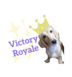 ゲームで使えそうな愛犬スタンプ（個別スタンプ：16）