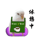 セキセイインコのみなさん2（個別スタンプ：4）