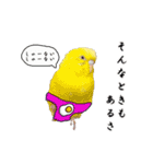 セキセイインコのみなさん2（個別スタンプ：7）