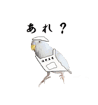 セキセイインコのみなさん2（個別スタンプ：27）