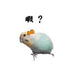 セキセイインコのみなさん2（個別スタンプ：29）