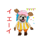 コスプレシーズーマックン季節編（個別スタンプ：13）