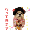 コスプレシーズーマックン季節編（個別スタンプ：14）