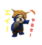 コスプレシーズーマックン季節編（個別スタンプ：29）