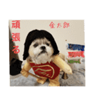 コスプレシーズーマックン季節編（個別スタンプ：31）