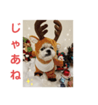 コスプレシーズーマックン季節編（個別スタンプ：37）