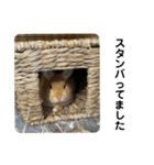 うたファミリー（個別スタンプ：30）