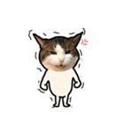 ネコのまりんとぽん太（個別スタンプ：13）
