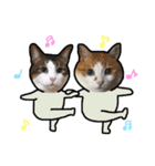 ネコのまりんとぽん太（個別スタンプ：32）
