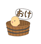 きいろのぴーちゃん（個別スタンプ：13）