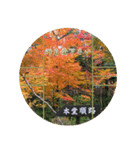 日本の秋・紅葉（個別スタンプ：1）