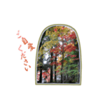 日本の秋・紅葉（個別スタンプ：7）