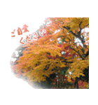 日本の秋・紅葉（個別スタンプ：8）