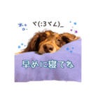 こたのおつかれ癒しスタンプ（個別スタンプ：1）