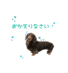 こたのおつかれ癒しスタンプ（個別スタンプ：2）