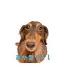こたのおつかれ癒しスタンプ（個別スタンプ：7）