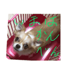はるちゃん その8（個別スタンプ：1）