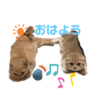 モンシェリー2（個別スタンプ：5）