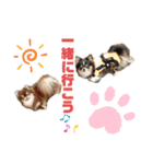 モンシェリー2（個別スタンプ：8）
