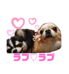 モンシェリー2（個別スタンプ：11）