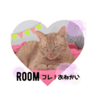 茶トラのこぴ（個別スタンプ：10）
