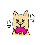 柴犬のマイケルくん（個別スタンプ：1）