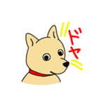 柴犬のマイケルくん（個別スタンプ：8）