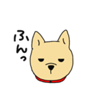 柴犬のマイケルくん（個別スタンプ：10）