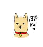 柴犬のマイケルくん（個別スタンプ：11）