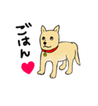 柴犬のマイケルくん（個別スタンプ：17）