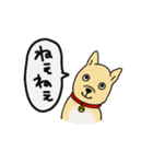 柴犬のマイケルくん（個別スタンプ：20）