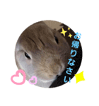 ⋆ᙏ̤̫͚*  マロンのスタンプん*（個別スタンプ：5）