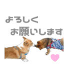 コーギー犬♡てるくん2（個別スタンプ：40）