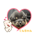 仔犬のぐんちゃんスタンプ（個別スタンプ：2）