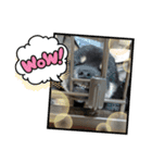 仔犬のぐんちゃんスタンプ（個別スタンプ：6）