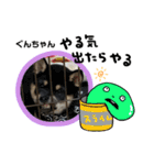 仔犬のぐんちゃんスタンプ（個別スタンプ：16）