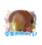 mugiのスタンプ2（個別スタンプ：8）