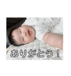 百城スタンプ（個別スタンプ：15）