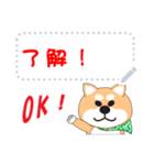 柴犬メッセージスタンプ（個別スタンプ：2）