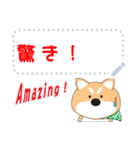 柴犬メッセージスタンプ（個別スタンプ：10）