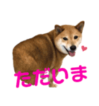 だいちゃん好きのためのスタンプ第二弾（個別スタンプ：2）