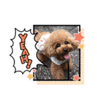 くるみのスタンプPart7（個別スタンプ：1）