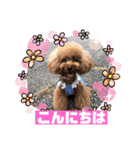 くるみのスタンプPart7（個別スタンプ：6）
