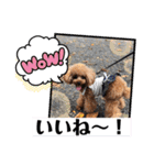 くるみのスタンプPart7（個別スタンプ：9）