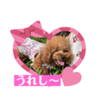 くるみのスタンプPart7（個別スタンプ：15）