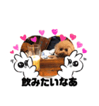 くるみのスタンプPart7（個別スタンプ：18）