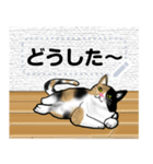 ハチワレ 三毛猫（個別スタンプ：4）