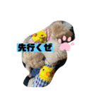 ナラファミリー10（個別スタンプ：3）
