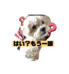 ナラファミリー10（個別スタンプ：5）