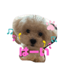 ナラファミリー10（個別スタンプ：7）